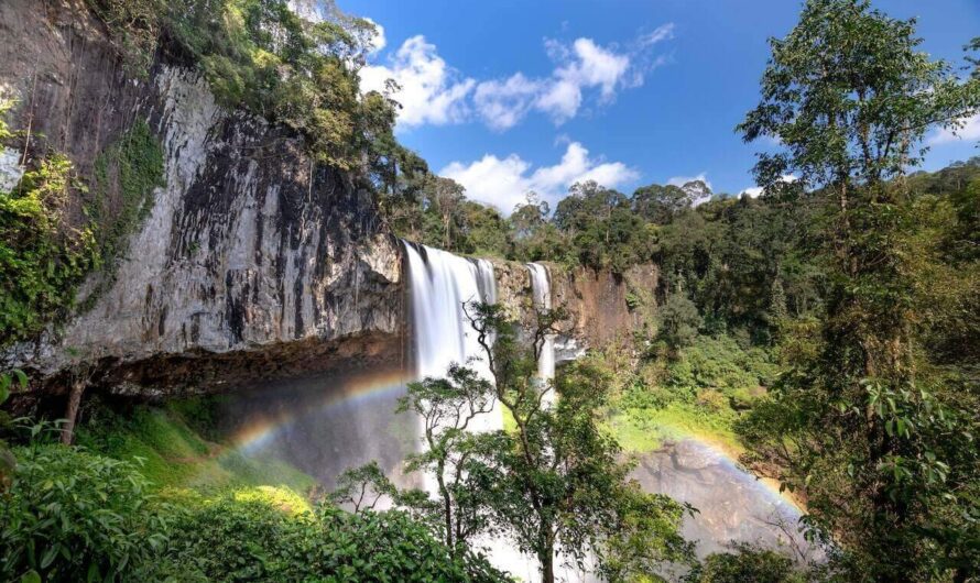 Exploring Meghalaya: Bamboo Trek